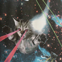 DEDICATED Stockholm Laser Cats T-Shirt
