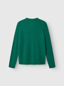 GABBA Tokota Aico LS Men's Sweater Green